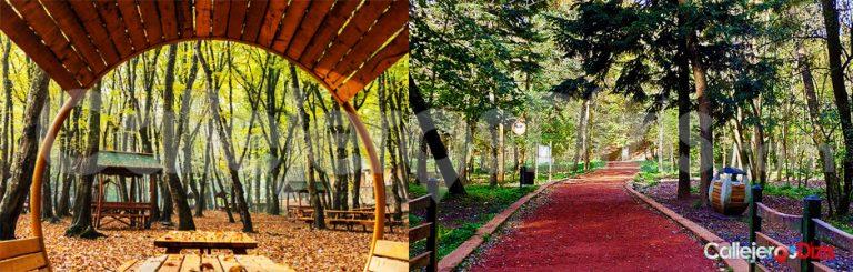 Lee más sobre el artículo Belgrad Ormanı – Koşu Parkuru