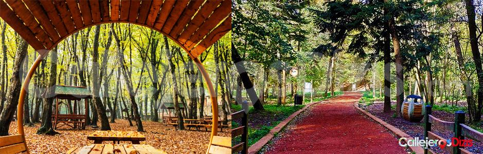 En este momento estás viendo Belgrad Ormanı – Koşu Parkuru