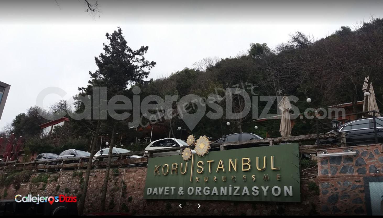 En este momento estás viendo Koru İstanbul Kuruçeşme