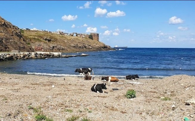 En este momento estás viendo Rumeli Feneri Plajı